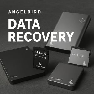 angelbird-data-recovery