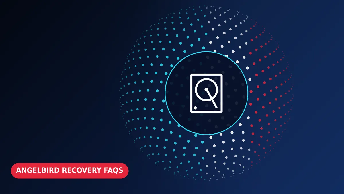 Frequently Asked Questions – Angelbird Data Recovery
