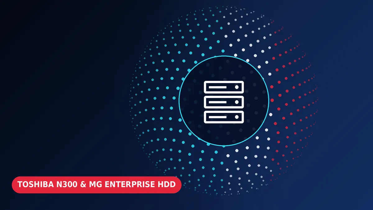 Toshiba N300 NAS and MG enterprise drive recovery