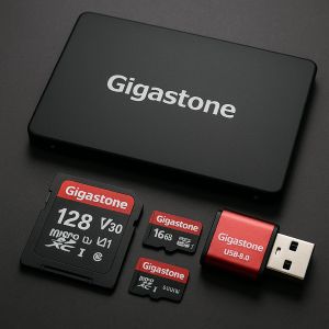 gigastone-data-recovery