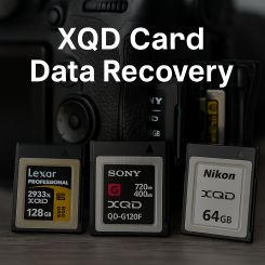 xqd-data-recovery